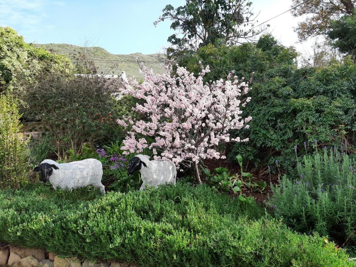 Over Karoo Inn Barrydale Exterior photo