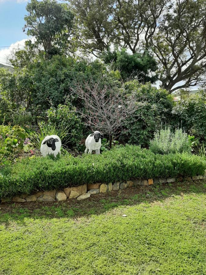 Over Karoo Inn Barrydale Exterior photo